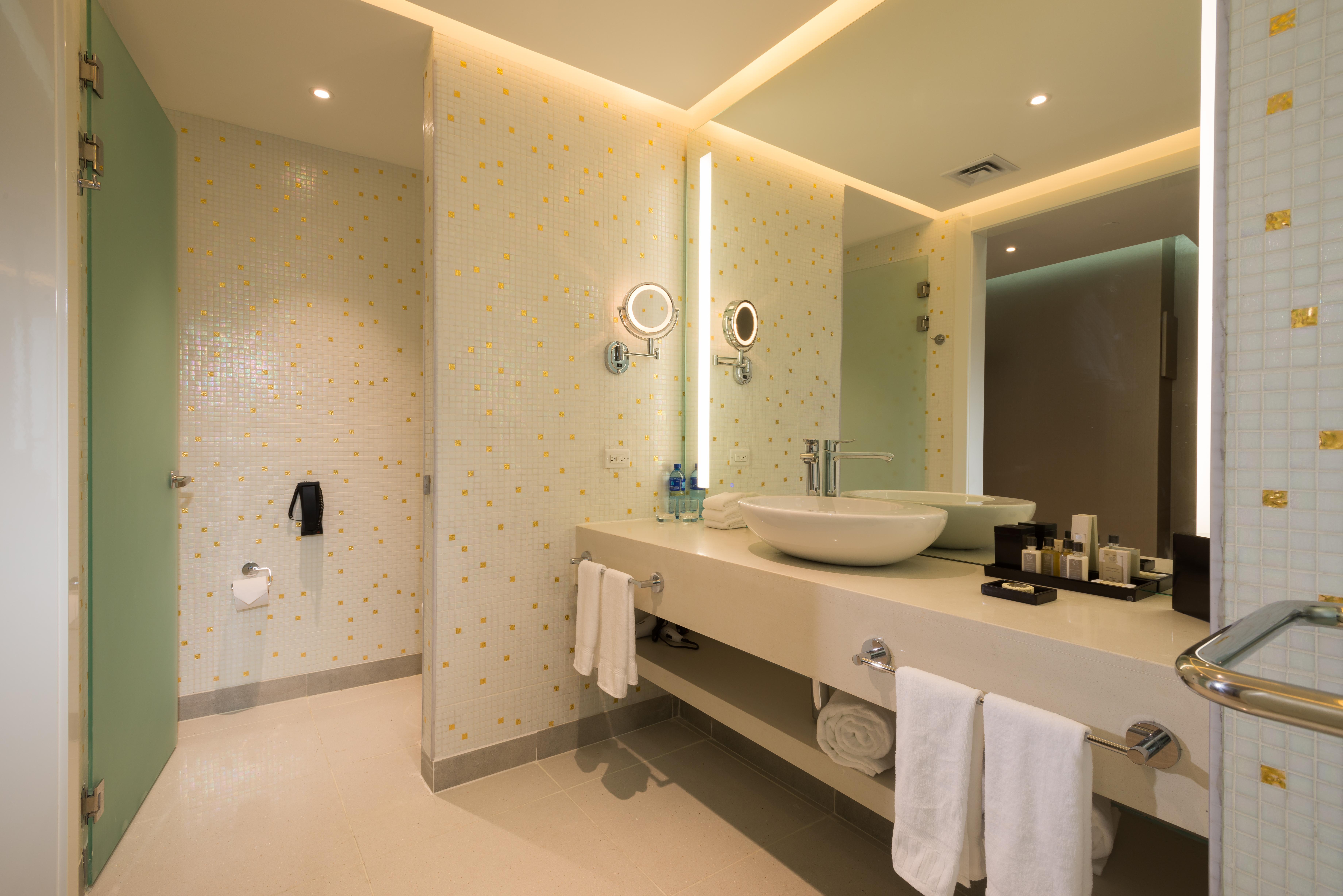 巴拿马美洲金塔酒店 巴拿马城 外观 照片 Bathroom
